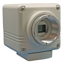 2:1 Interlace Monochrome Board Camera